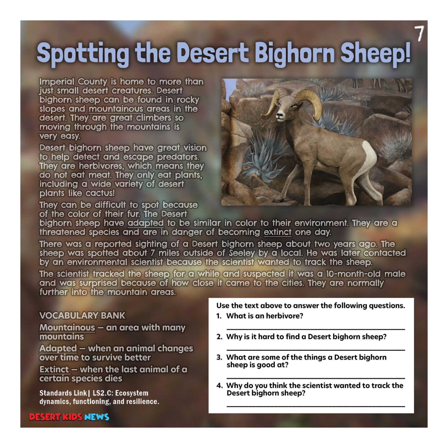Spotting the desert big horn sheep | DKN 4.3